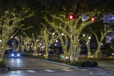 Austin City Walk Feb 2025